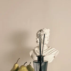 Jacque-English-Pear-Reed-Diffuser